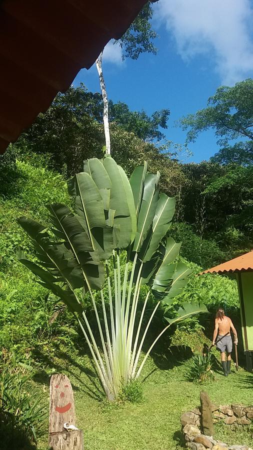 Nombre de DiosCasita Rio Indio别墅 外观 照片